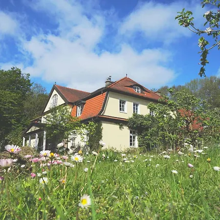 Villa Seegut Blaue Blume